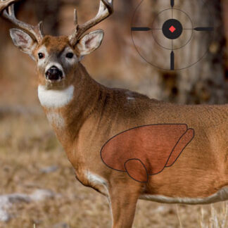 B-c Target Pregame 16.5"x24" - Whitetail Deer Target 3-targts